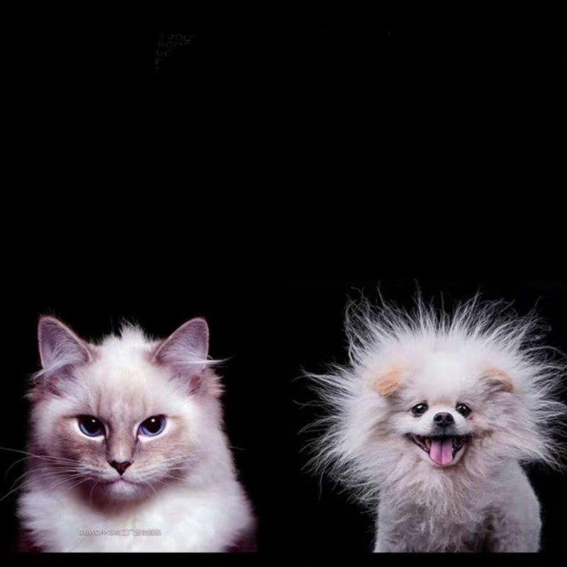 拍照摄影黑绒布拍照布反光背景布绒布纯色植纯黑吸光