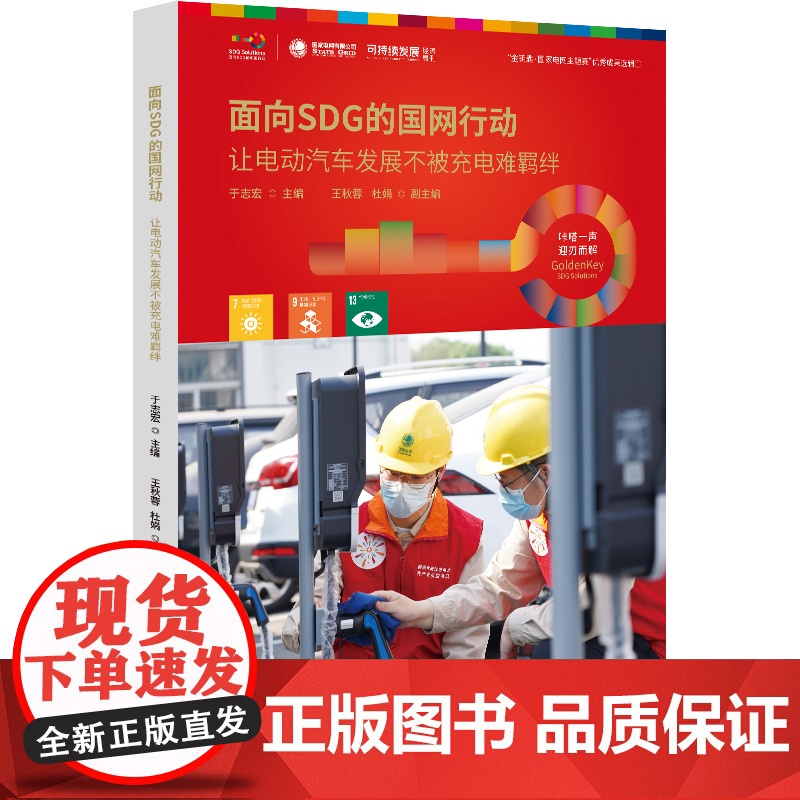 面向SDG的国网行动——让电动汽车发展不被充电难羁绊高清大图