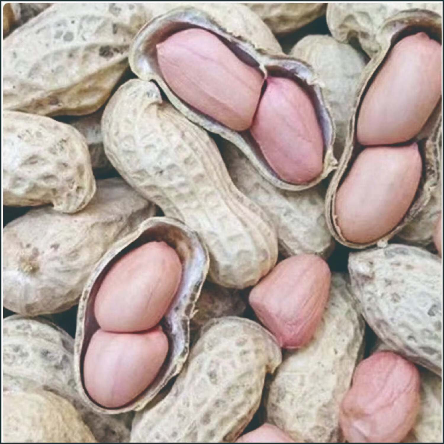 艾提尕花生500g/袋高清大图