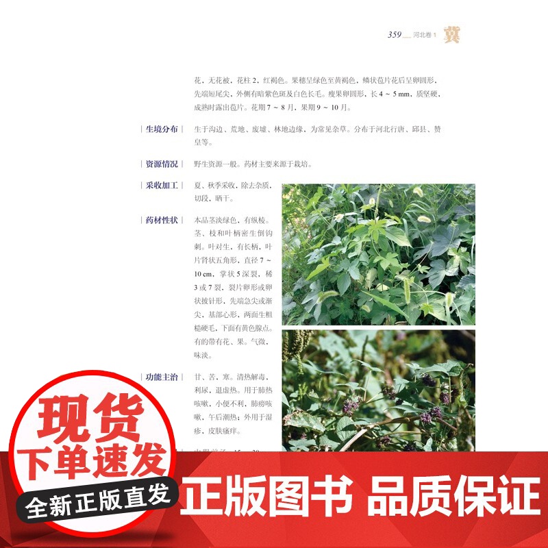 DF[央视网]中国中药资源大典 河北卷 全23册 中医中药学 BJ高清大图