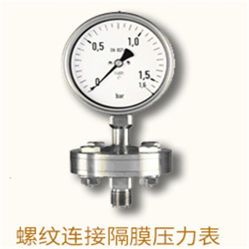 润仪仪表RY-YTPF不锈钢螺纹连接隔膜压力表(台)