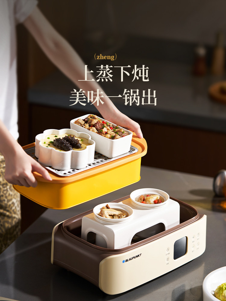 蓝宝(BLAUPUNKT)双聚能速蒸电蒸锅BP-ZG13 白色高清大图