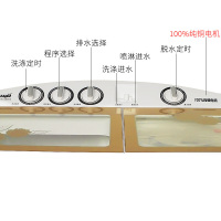 海鸥13公斤双桶半自动双缸大容量商用家用洗衣机宾馆用波轮式洗衣机 双不锈钢内桶