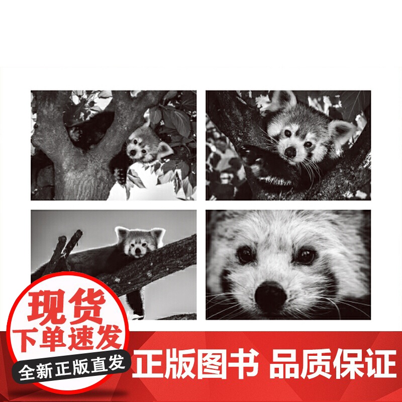 [央视网]第六次物种大灭绝它们即将消逝 9787568074308(法) 阿兰·埃尔努 (Alain Ernoult)高清大图