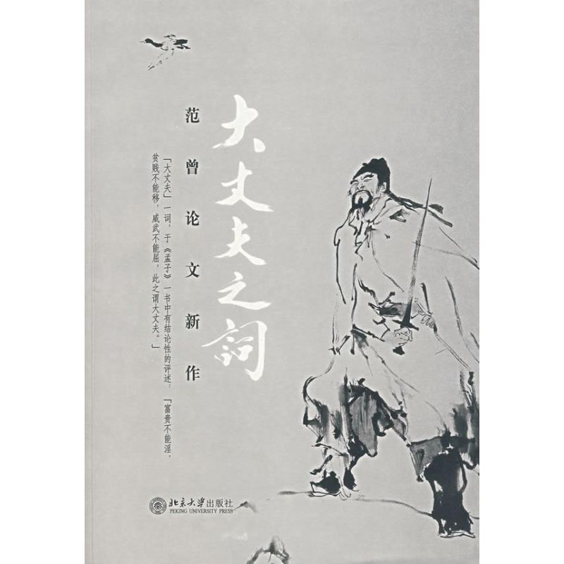 【M】大丈夫之词/范曾论文新作-9787301113929