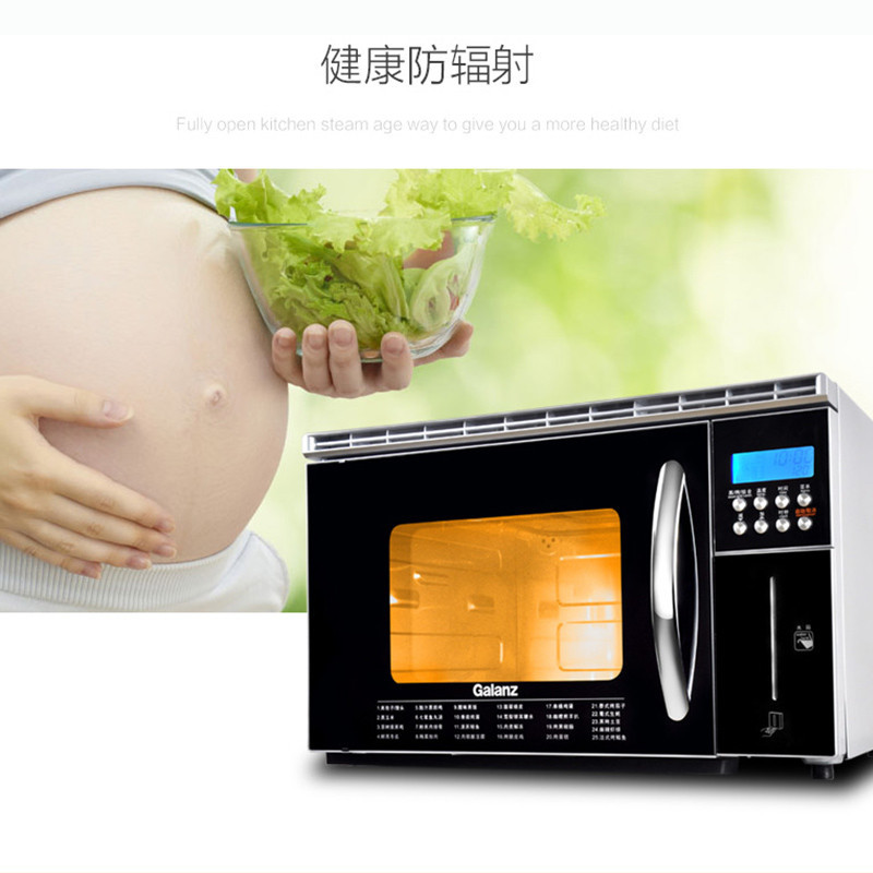 格兰仕电蒸炉DG26T-D30
