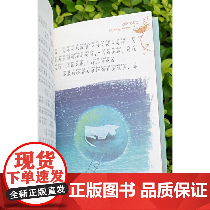 动物大逃亡 注音版全球儿童文学典藏书系 小学语文课外阅读读物一二年级小学生课外书阅读必经典读物儿童文学故事书正版高清大图