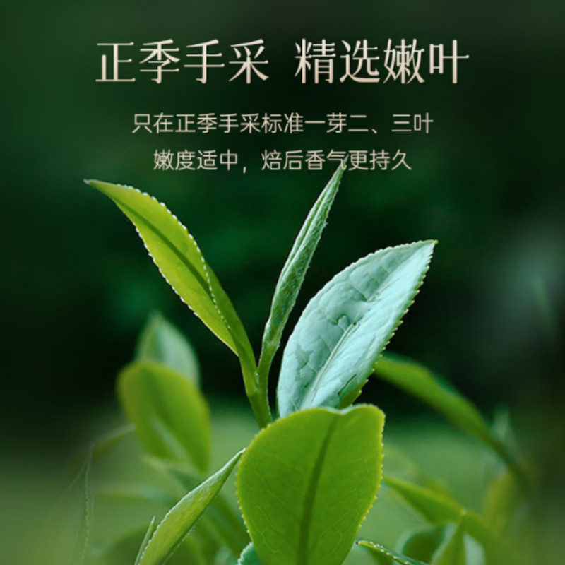 华祥苑 肉桂茶叶 特级武夷岩茶中足火乌龙茶250g高清大图
