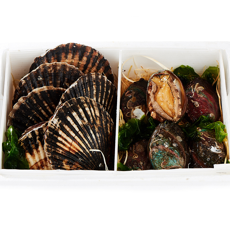 海洋岛 (HAIYANGDAO) 鲍鱼6只(300g)+虾夷扇贝6只(500g) 约800g 国产 大连海鲜水产礼盒装