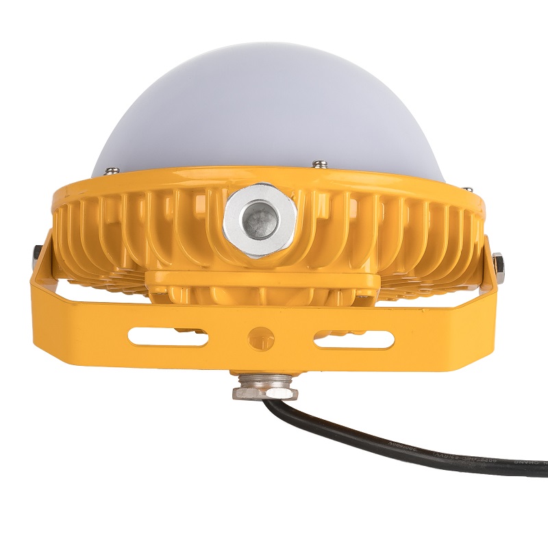 倬屹(ZHUOYI)BZY827-E50 LED防爆灯高清大图