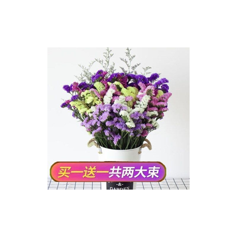 云南勿忘我干花花束买一斤送一斤满天星干花客厅摆件花束真花|紫玫粉黄+黄水晶+草 20支含白色仿瓷瓶