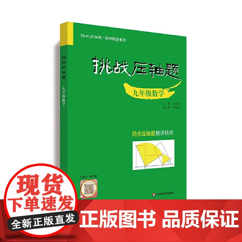 挑战压轴题·九年级数学高清大图