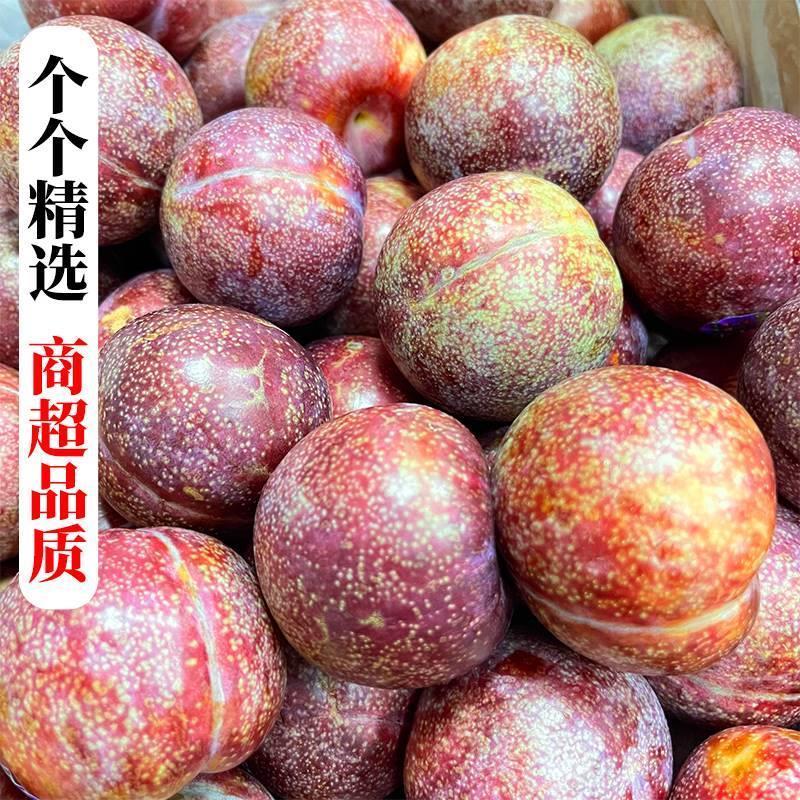 顺丰快递[熊猫鸟]智利进口凤凰李 3斤 珠宝李子当季新鲜红布林整箱血丝李水果樱桃李孕妇高清大图