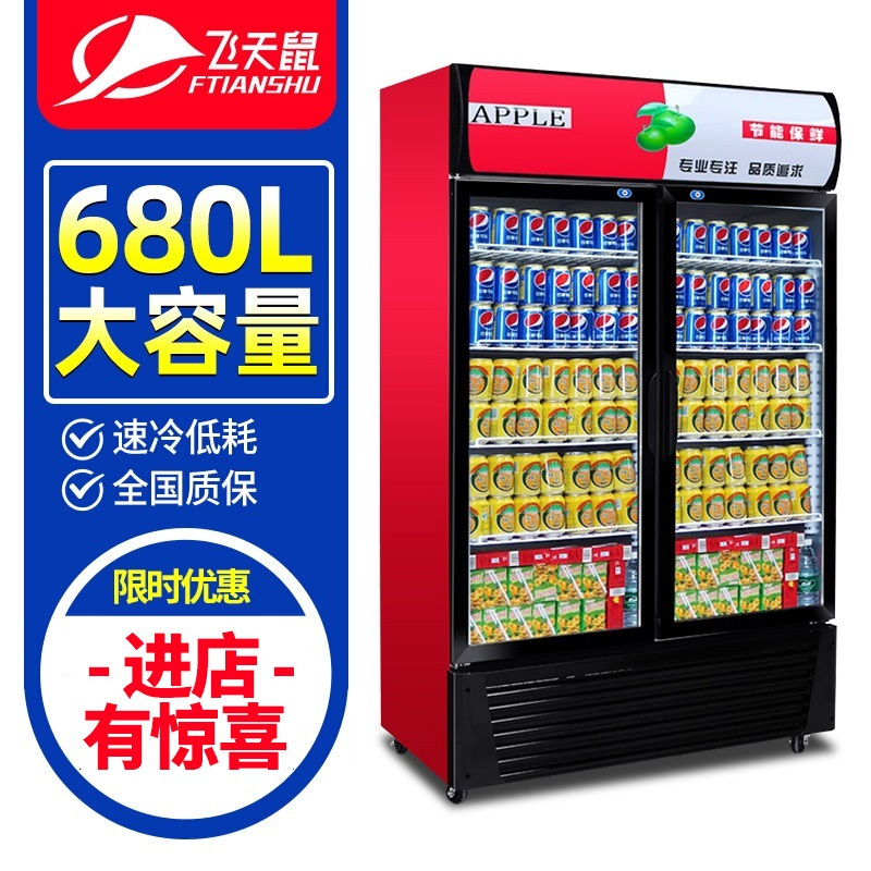 飞天鼠(ftianshu) 双门立式冷柜玻璃展示柜