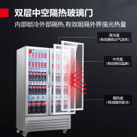 德玛仕(DEMASHI)展示柜商用双门冰箱 便利店超市冰啤酒饮料水果保鲜陈列柜 LG-680ZB[自带门锁]