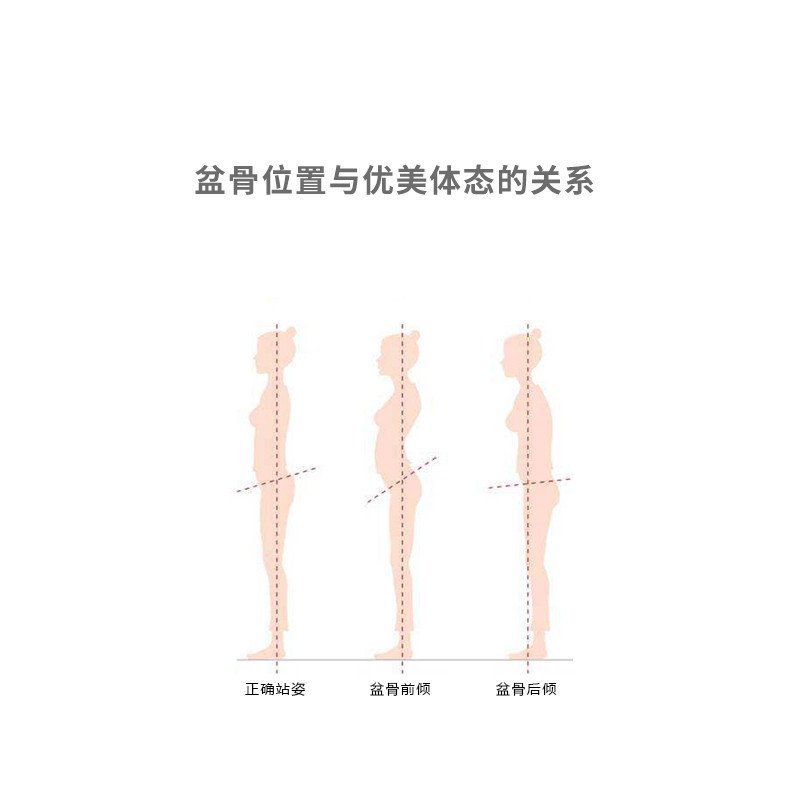 MTG日本 Style花瓣矫姿坐垫 矫正坐姿保护脊椎 美臀护腰久坐神器孕妇脊椎减压护腰防驼背美臀办公室家正品 (深棕色)