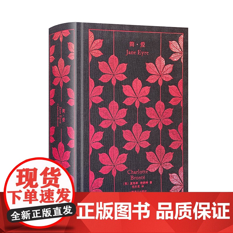 远大前程/简爱/呼啸山庄/双城记/雾都孤儿/荒凉山庄/大卫考坡菲/圣诞故事集/艰难时世 企鹅布纹经典书上海译文出版社大卫高清大图