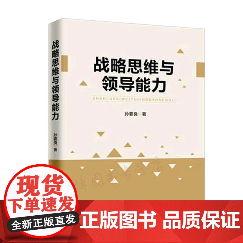 战略思维与领导能力高清大图