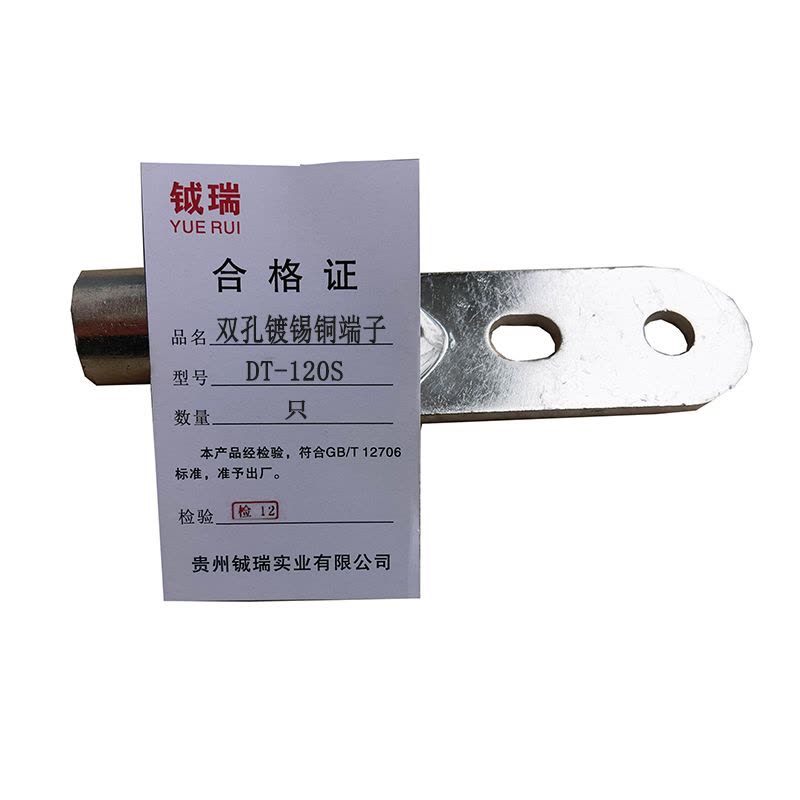 钺瑞双孔镀锡铜端子DT-120S/只图片