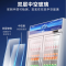 星星(XINGX) 518 升 LSC-518Y 双门冷藏展示柜 冷藏冰柜大容量 玻璃门立式饮料柜金色