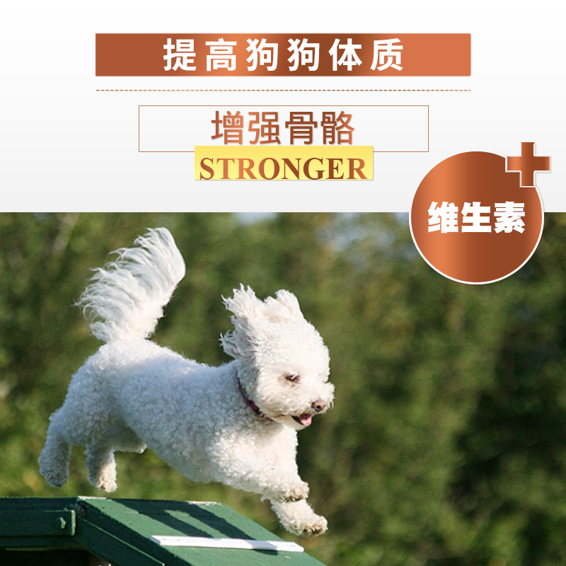 比熊狗粮幼犬专用比熊狗粮美毛白色小型犬狗粮比熊高清大图