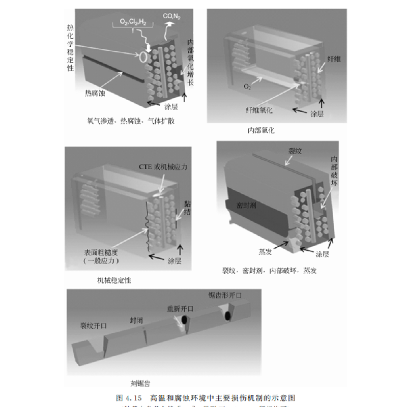 正版 智能涂料:原理·技术·防腐蚀应用高清大图