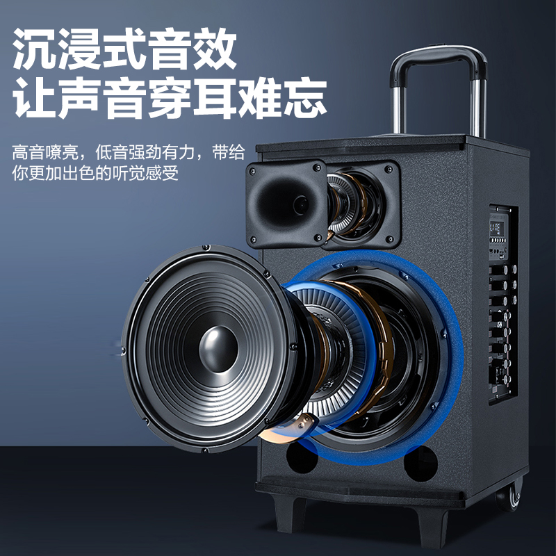 惠度(HuiDu)T-08L专业八寸大功率大声压户外拉杆音响带电池话筒(销售单位:台)高清大图