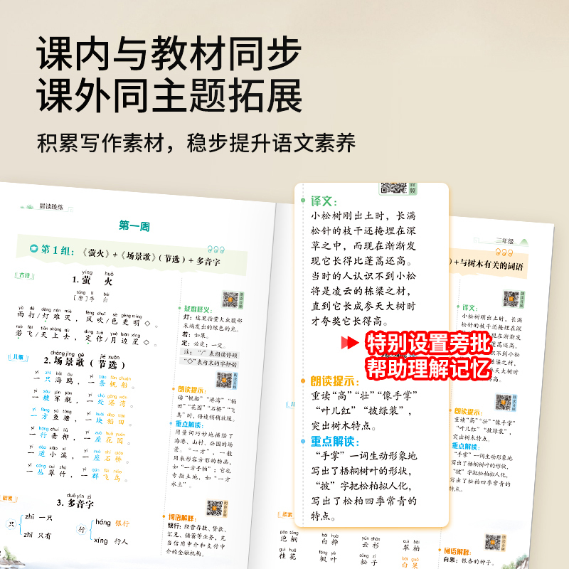 [全2册]337主题晨读+番茄法提分晚练 小学一年级 [正版]认准337晨读法晨读美文每日一读一年级二年级三年级四五年级