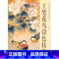 【正版】书店美术基础教学系列丛书：工笔花鸟设色技法 杨晓君 绘 天津杨柳青画社花 设