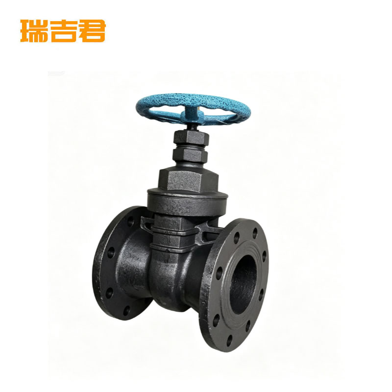 瑞吉君 铁闸阀 DN65（长18.2CM）个