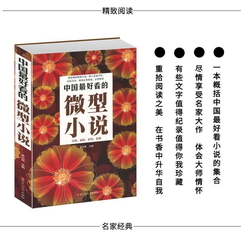 中国最好看的微型小说 世界微型小说短篇小说选刊杂志系列图书籍 中国最好看的微型小说