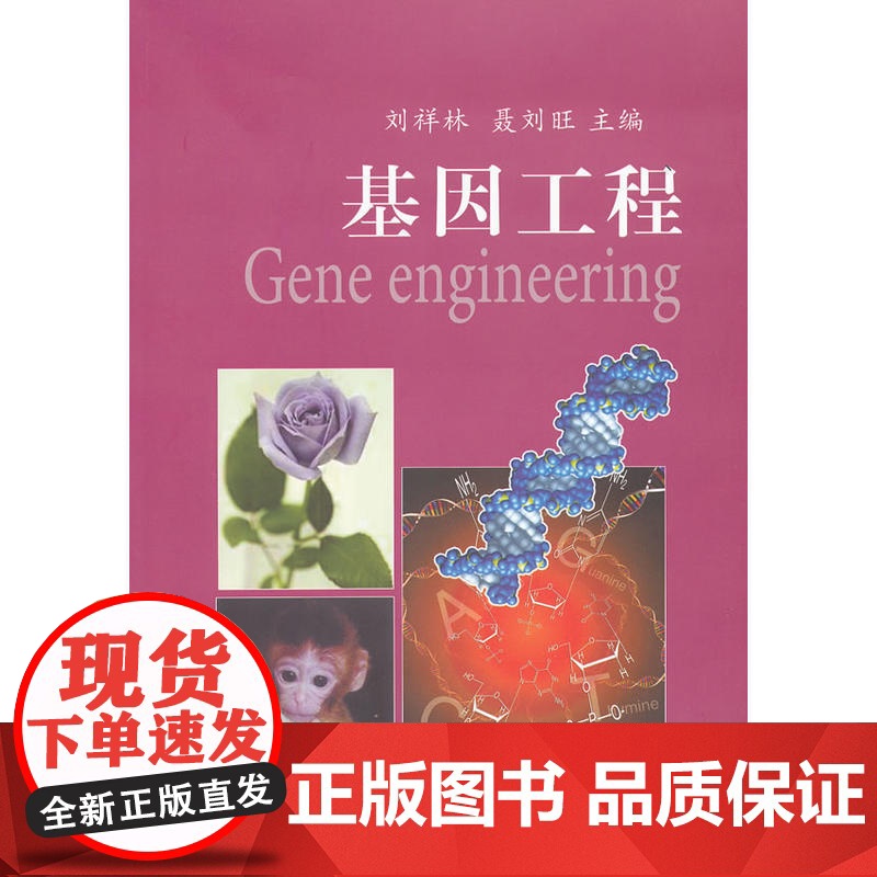 基因工程高清大图