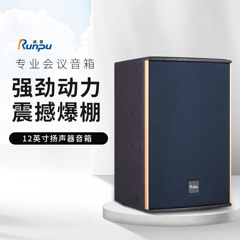 润普(Runpu)会议音频扩声系统专业双12英寸会议音箱无源音响礼堂会议室扩声音响设备 RP-SY-YQP12高清大图