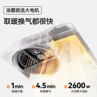 奥普(AUPU)浴霸E372-Y风暖浴霸 强弱两档取暖智能干燥换气集成吊顶卫生间暖风机
