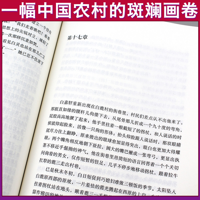 [正版]F 白鹿原 陈忠实经典代表作全本54.9万字文学小说书籍茅盾文学奖得者纪念出版 爱情现当代农村青春文学 新高清大图
