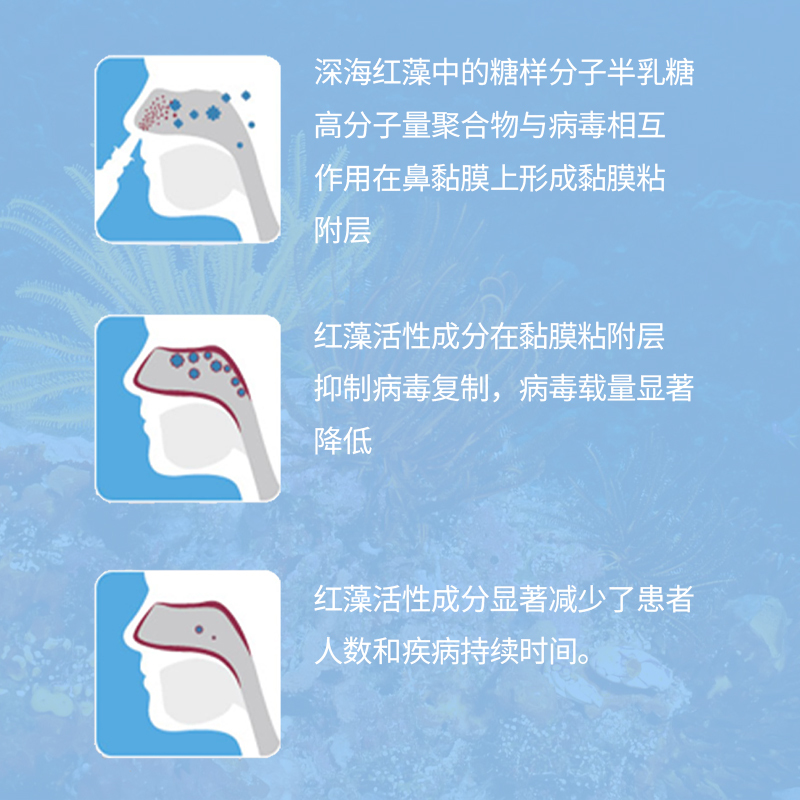 华复生物科威藻灵®深海红藻卡拉胶孕妇幼儿老人日常防护鼻喷剂20mL/瓶 400喷
