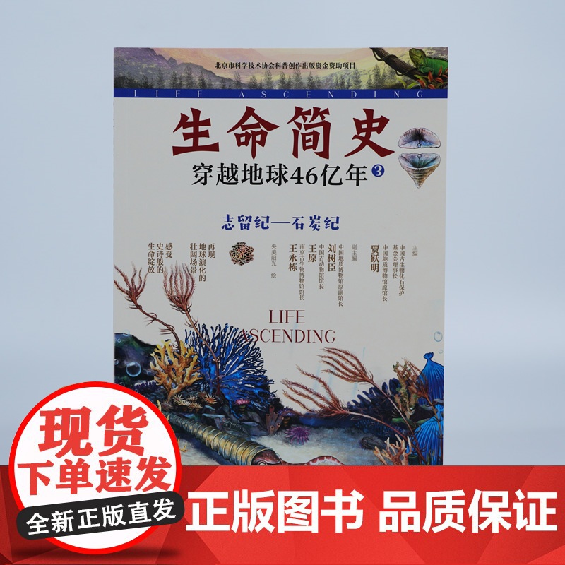 生命简史 穿越地球46亿年 志留纪 石炭纪 6-12-15岁儿童中小学生青少年科普读物 宇宙起源地球形成生命诞生史前世界高清大图