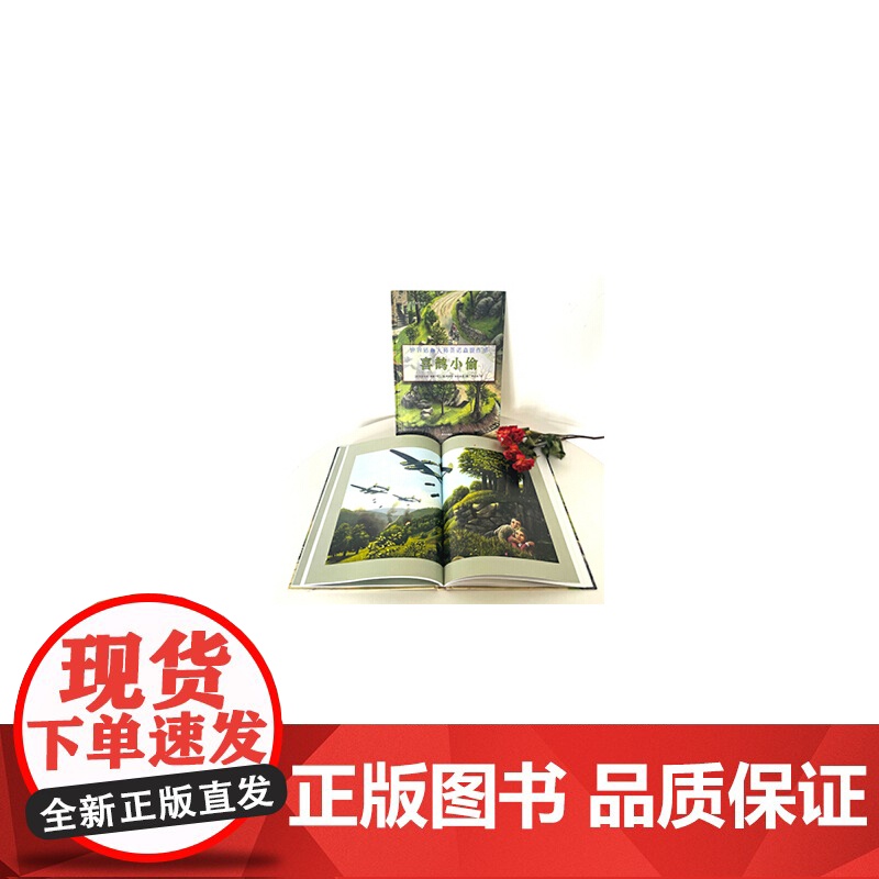 漂流瓶绘本馆-世界插画大师英诺森提作品-喜鹊小偷高清大图