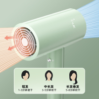 陇步昇 LBS-669MJC 电吹风机 1.00 个/只 (计价单位:只) 绿色