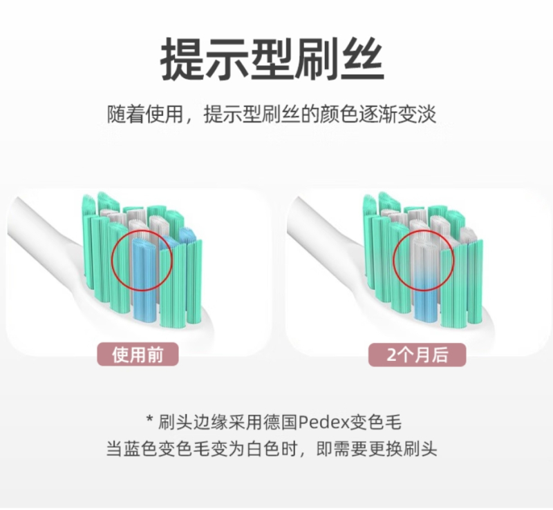西屋(Westinghouse)WT-502S 声波电动牙刷家用充电式软毛牙刷 DC5.0V(单位:个)高清大图