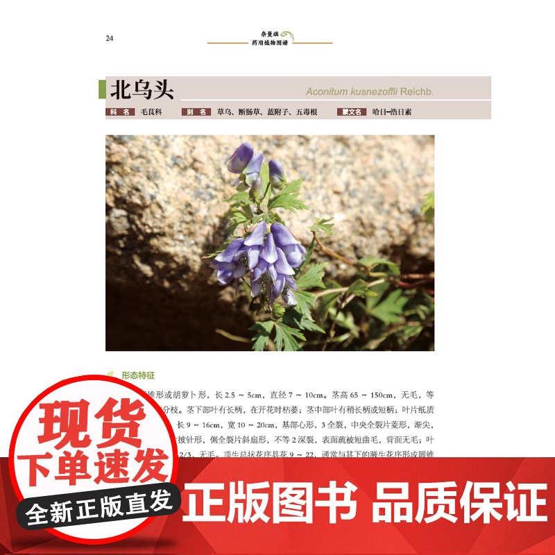 奈曼旗药用植物图谱 北京科学技术高清大图