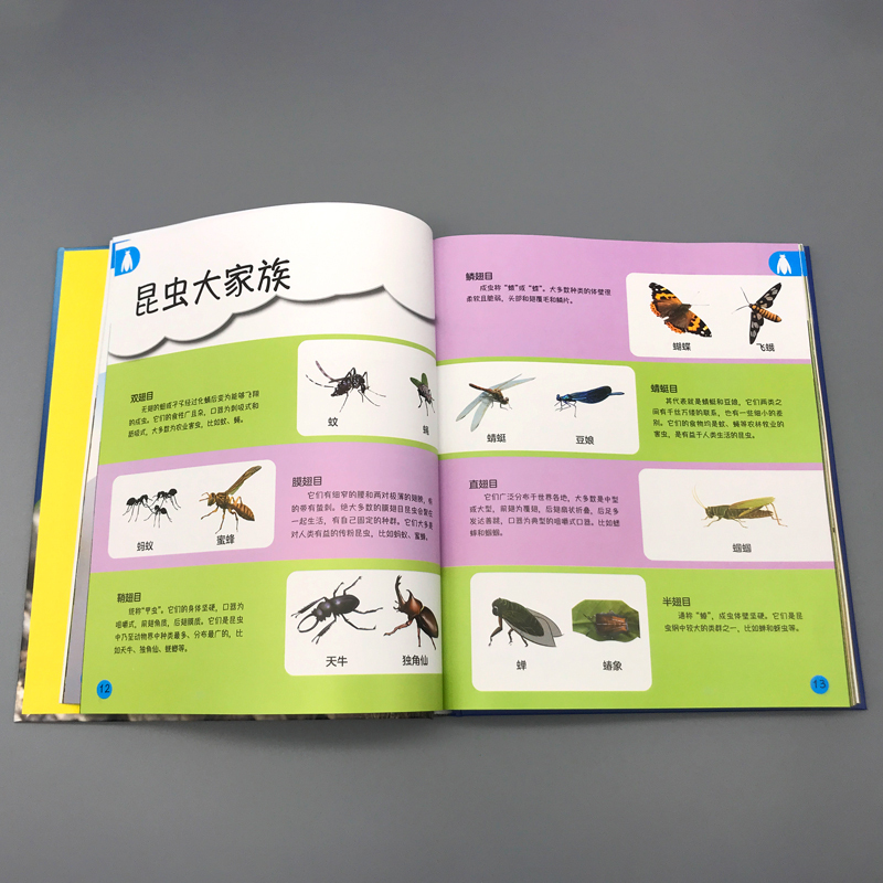 [精装大开本]昆虫 那些重要的事 [正版]昆虫那些重要的事中国少年儿童探索百科全书恐龙 动物 太空 宇宙 自然 科学 地