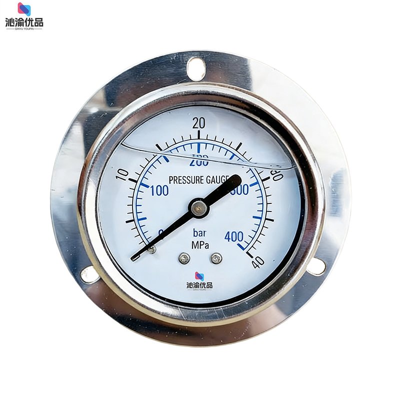 沁渝优品 压力表 Y-100Z 个高清大图