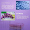 绿牌薰衣草洗衣液(瓶装)2kg