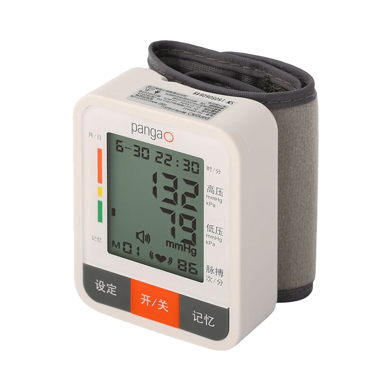 攀高(pangao) 血压计家用智能 电子血压仪 PG-800A31 jh