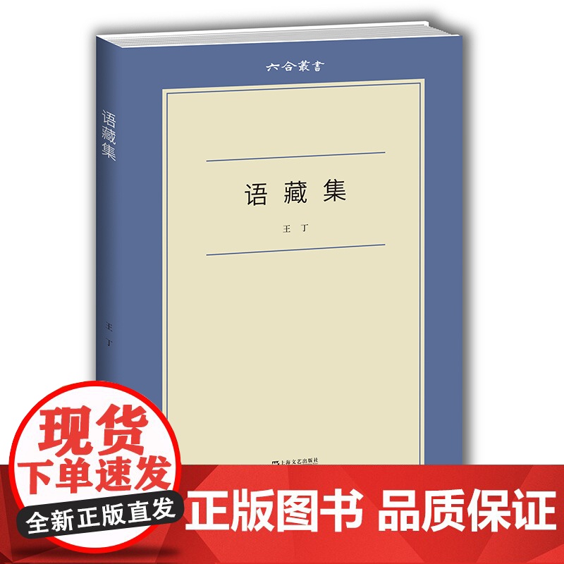 语藏集 六合丛书中外关系史学者王丁著上海文艺出版社历史文化随笔集正版图书籍高清大图