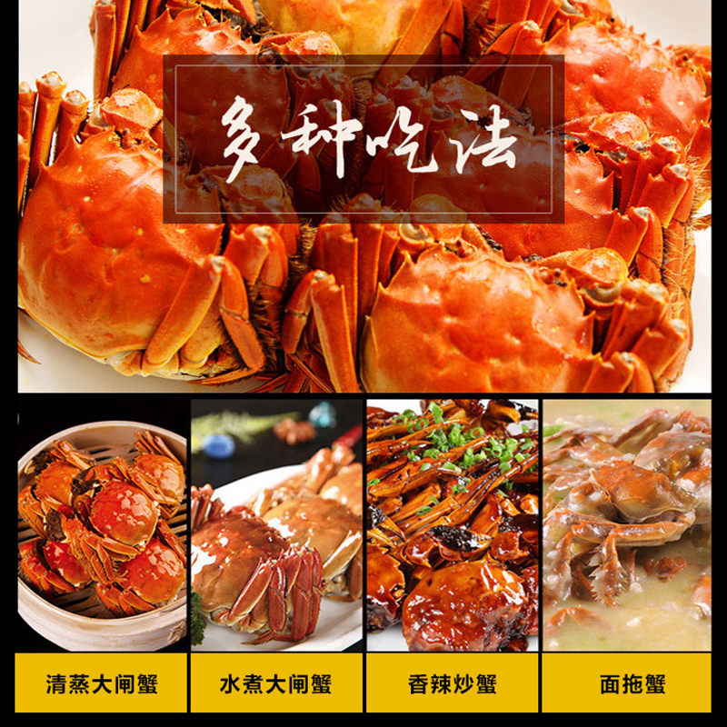 鲜知臻食&阳澄股份大闸蟹 1288尊品级(雄蟹4两*4只,雌蟹3两*4只 )