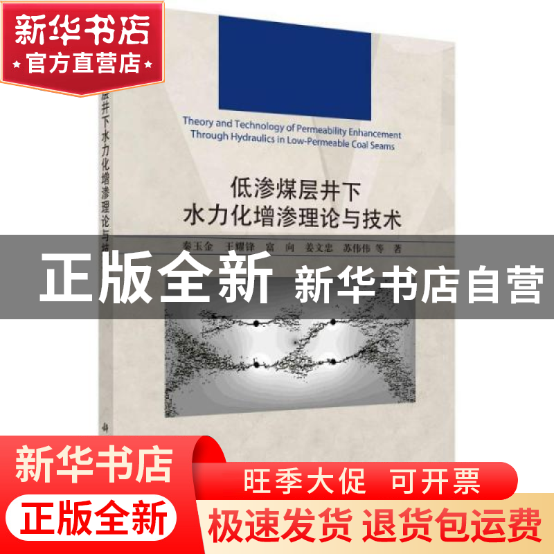 正版 低渗煤层井下水力化增渗理论与技术 秦玉金//王耀锋//富向/高清大图