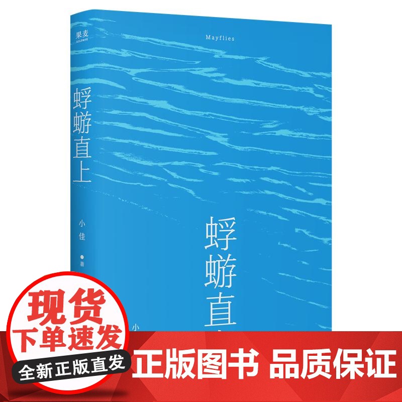 蜉蝣直上 脱口秀演员小佳首部散文集太白文艺出版社非虚构文学女性小人物生活高清大图