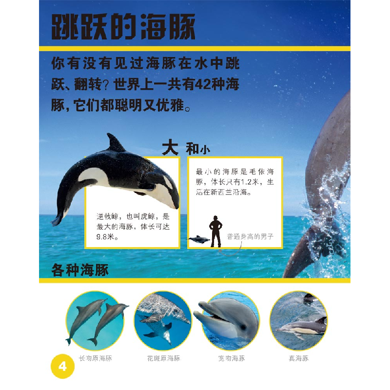 正版新书]海豚(4+)/发现更多佩内洛普·阿隆9787530766583高清大图